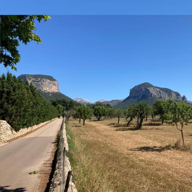 Sa Sort De Can Moix Alaró Exteriér fotografie